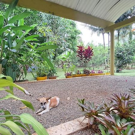 Villa Anacahuita, Limonal Jarabacoa Bagian luar foto