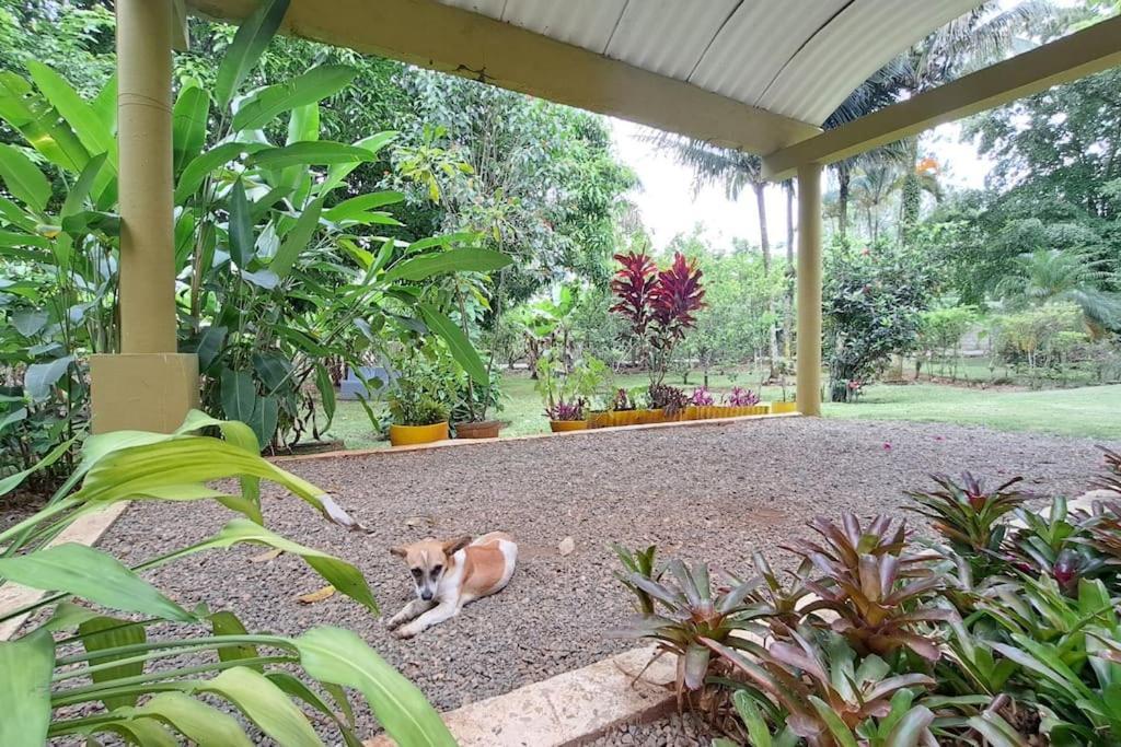 Villa Anacahuita, Limonal Jarabacoa Bagian luar foto
