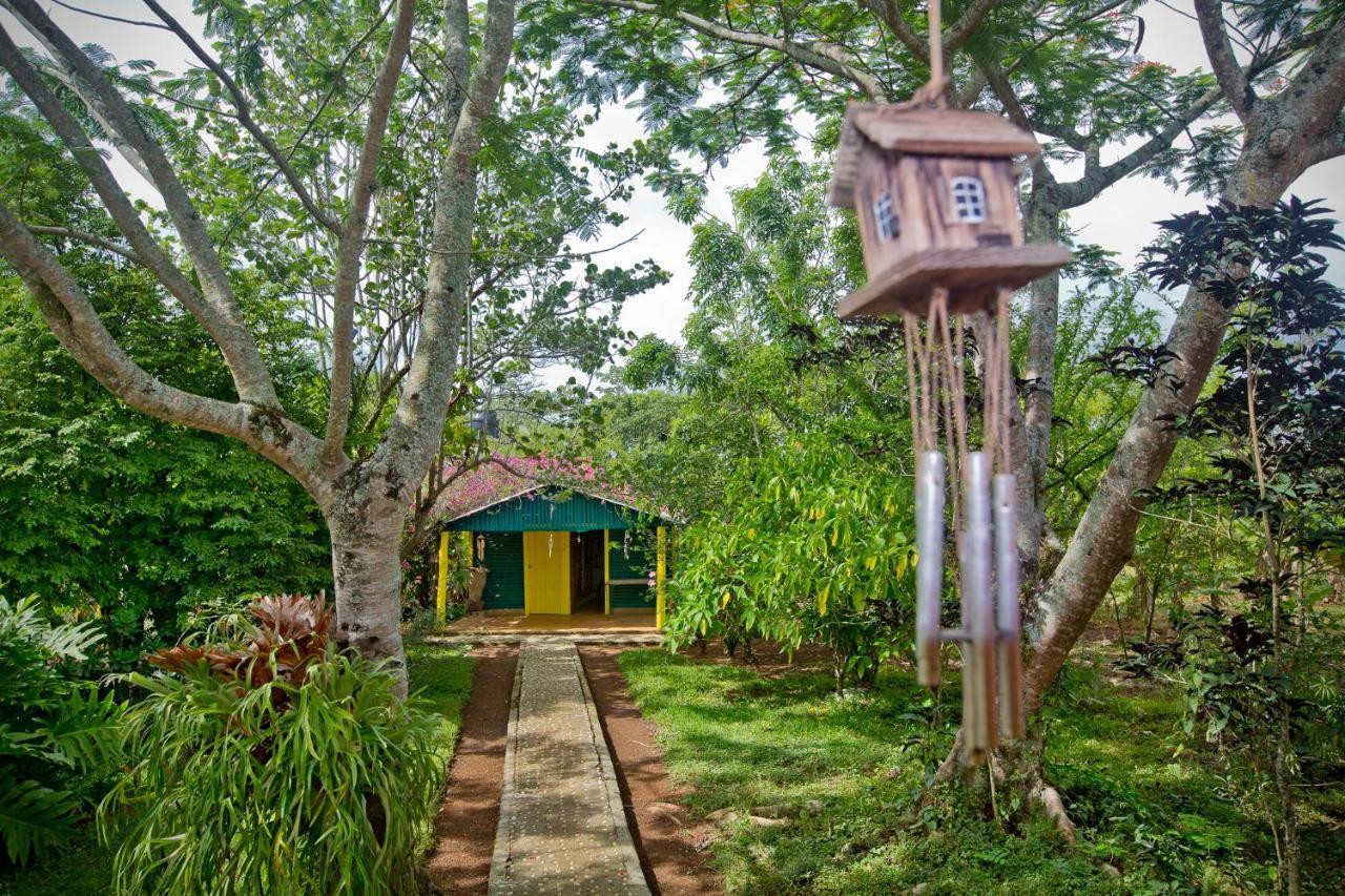 Villa Anacahuita, Limonal Jarabacoa Bagian luar foto